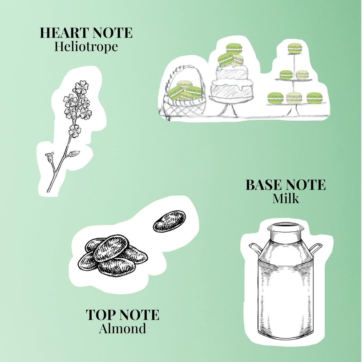 Macaron Almond Eau De Parfum 3.4 fl oz (100 ml) Perfume Men Women