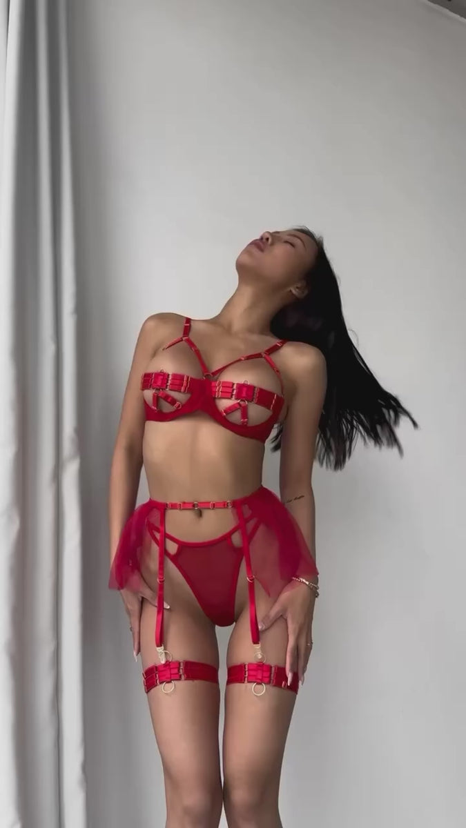 Cassandra's Red Lingerie